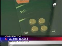 Guvernul, invins de etnobotanice