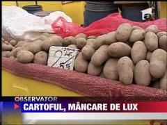 Pretul cartofului va creste