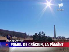 Pomul de Craciun din Washington, doborat de vant