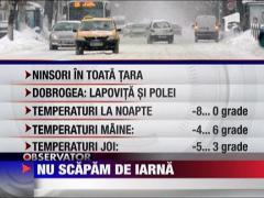 Ninsorile vor continua si in zilele urmatoare