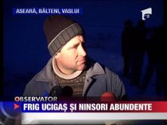 Frig ucigas si ninsori abundente