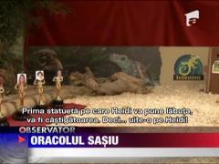 Oposumul sasiu mizeaza pe Natalie Portman