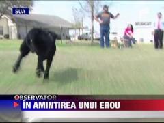 Caine adoptat, in amintirea unui erou