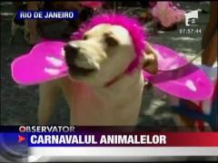 Carnavalul animalelor la Rio de Janeiro
