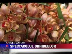 Spectacolul florilor din New York