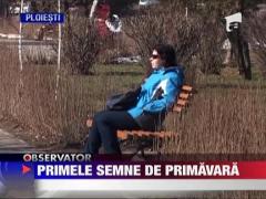 Primele semne de primavara