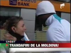 Trandafiri de la Moldova