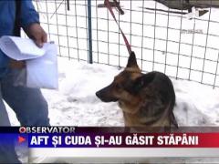 Primii doi politisti pusi pe liber, Aft si Cuda, si-au schimbat domiciliul