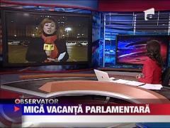 Mica vacanta parlamentara