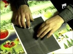 Ajutati-o pe Denisa!