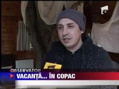 Un brasovean si-a facut casuta in copac