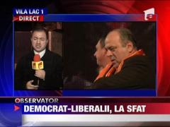 Democrat-liberalii  la sfat