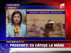 Retea de proxeneti anihilata in Constanta