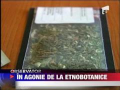 In stare grava dupa ce a consumat etnobotanice