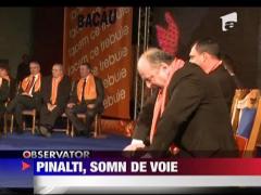 Gheroghe Stefan, somn pe "umarul" Elenei Udrea