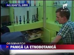 Inca un magazin de etnobotanice inchis