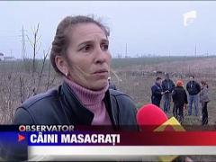 Zeci de caini masacrati
