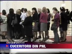 Cuceritorii din PNL