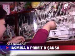 Iasmina, o fetita nevazatoare din Resita are acum o sansa sa vada!