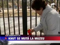 Ursul Knut ar putea fi impaiat