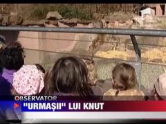 "Urmasii" lui Knut
