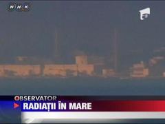Nivel de radiatii extrem de mare in apa marii