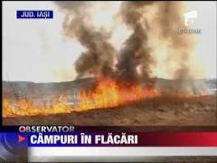 Campuri in flacari