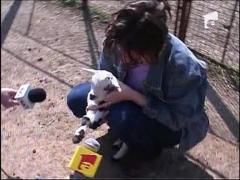 Premiera la Constanta