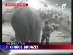 Circul groazei