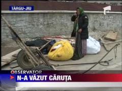 Carutasi loviti de un vitezoman