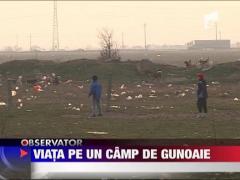 Traiesc pe un camp plin de gunoaie