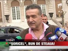 Florescu e dorit de Gigi la Steaua