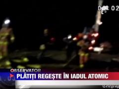 Teama ca batalia cu pericolul nuclear va fi pierduta e tot mai mare