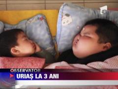 Urias de 60 de kg la 3 ani