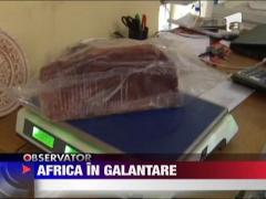 Africa in galantare