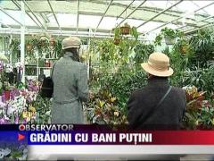 Observator de weekend