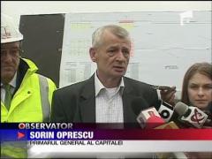 Solutii pentru cainii maidanezi