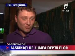 Timisorenii, fascinati de lumea reptilelor