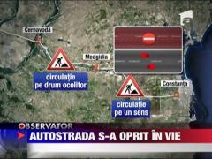 Autostrada Soarelui s-a oprit in vie