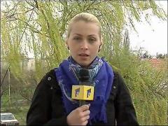 Grupare infractionala din Franta, arestata in Romania