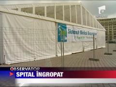 Astazi e Ziua Mondiala a Sanatatii