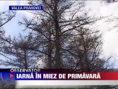 Iarna in miez de primavara in Maramures si Caras-Severin