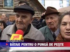 Bataie pe o punga de peste