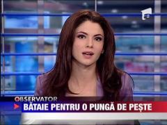 Observator de weekend