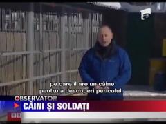 Cainii din armata rusa urmeaza comenzile primite prin statie