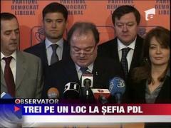 Trei pe un loc la sefia PDL