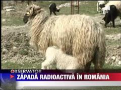 UPDATE / Iod radioactiv in zapada de pe muntele Ceahlau