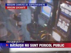 IMAGINI SOCANTE! Batausii nu sunt considerati pericol public in Satu Mare