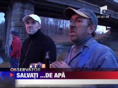 Cal salvat dintr-o canalizare plina cu apa