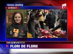 Flori de Florii